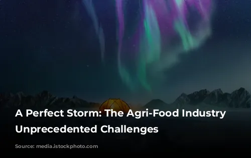 A Perfect Storm: The Agri-Food Industry Faces Unprecedented Challenges