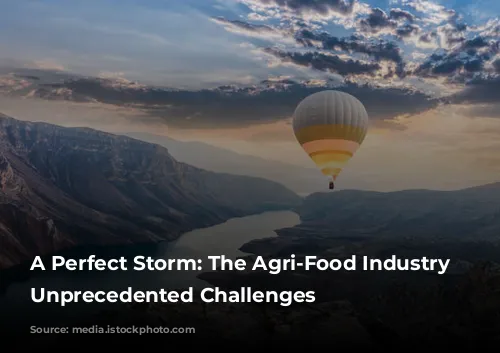 A Perfect Storm: The Agri-Food Industry Faces Unprecedented Challenges