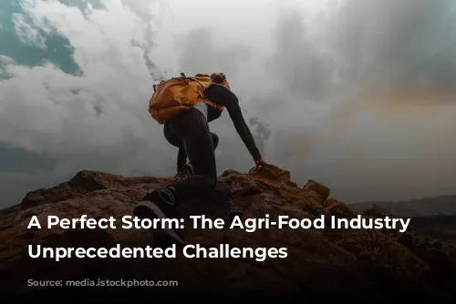 A Perfect Storm: The Agri-Food Industry Faces Unprecedented Challenges