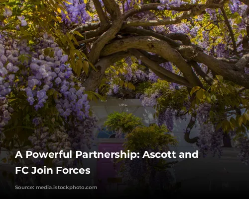 A Powerful Partnership: Ascott and Chelsea FC Join Forces