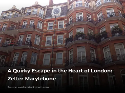 A Quirky Escape in the Heart of London: The Zetter Marylebone