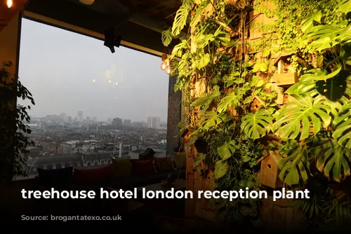 treehouse hotel london reception plant wall