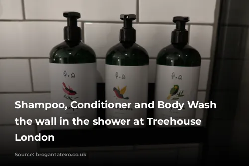 Shampoo, Conditioner and Body Wash on the wall in the shower at Treehouse Hotel London