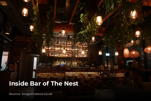 Inside Bar of The Nest