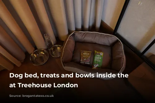 Dog bed, treats and bowls inside the room at Treehouse London