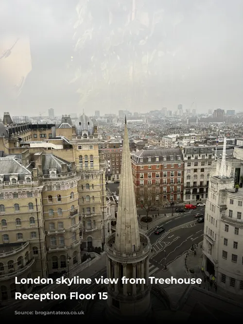 London skyline view from Treehouse London Reception Floor 15