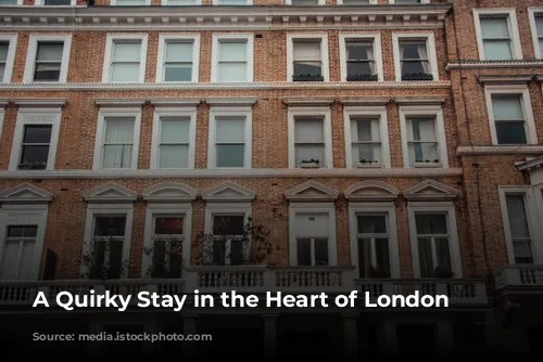 A Quirky Stay in the Heart of London