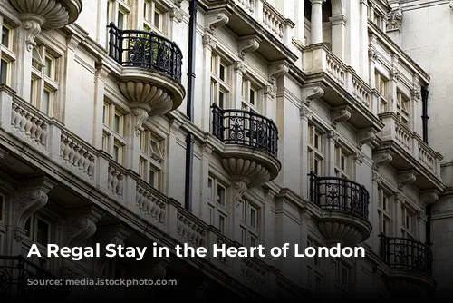 A Regal Stay in the Heart of London