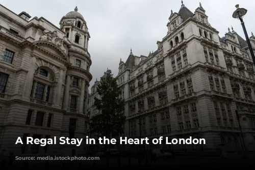 A Regal Stay in the Heart of London