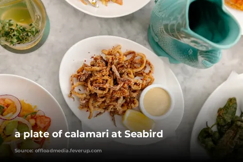 a plate of calamari at Seabird