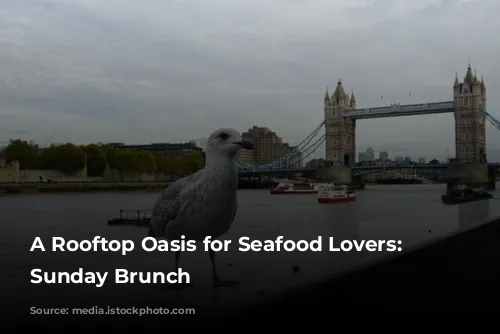 A Rooftop Oasis for Seafood Lovers: Seabird's Sunday Brunch