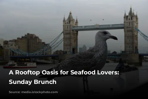 A Rooftop Oasis for Seafood Lovers: Seabird's Sunday Brunch