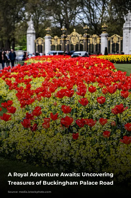 A Royal Adventure Awaits: Uncovering the Treasures of Buckingham Palace Road