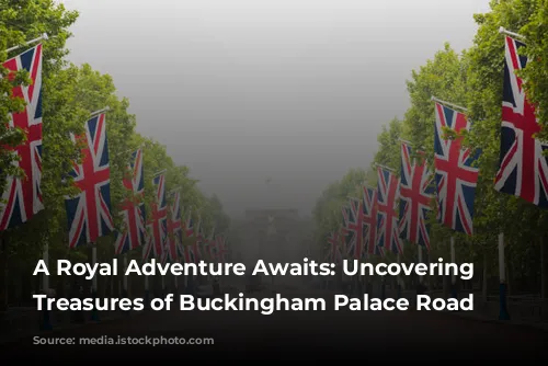 A Royal Adventure Awaits: Uncovering the Treasures of Buckingham Palace Road