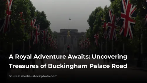 A Royal Adventure Awaits: Uncovering the Treasures of Buckingham Palace Road