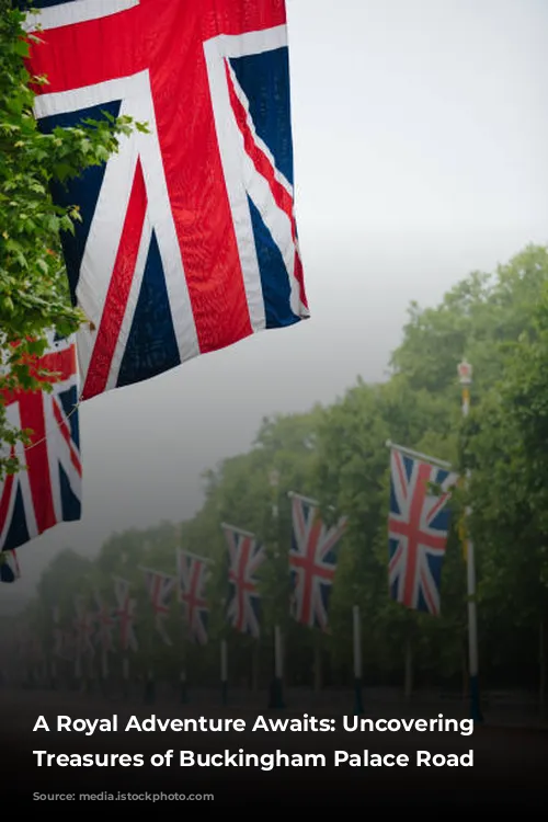 A Royal Adventure Awaits: Uncovering the Treasures of Buckingham Palace Road