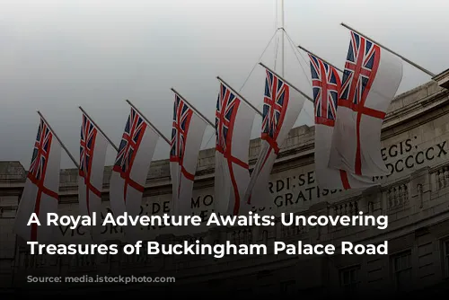 A Royal Adventure Awaits: Uncovering the Treasures of Buckingham Palace Road