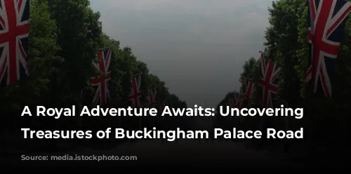 A Royal Adventure Awaits: Uncovering the Treasures of Buckingham Palace Road