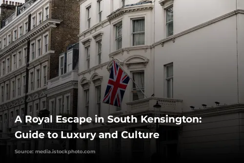 A Royal Escape in South Kensington: A Guide to Luxury and Culture