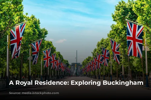 A Royal Residence: Exploring Buckingham Palace