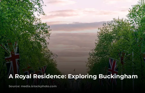 A Royal Residence: Exploring Buckingham Palace