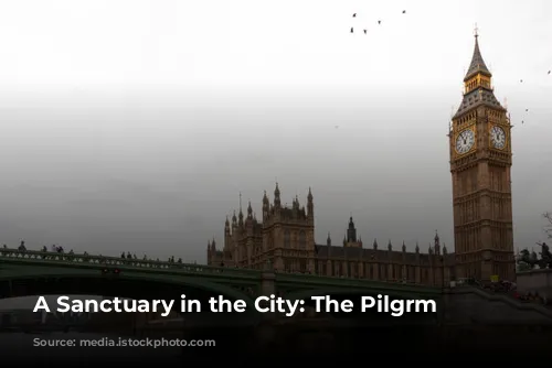 A Sanctuary in the City: The Pilgrm Hotel