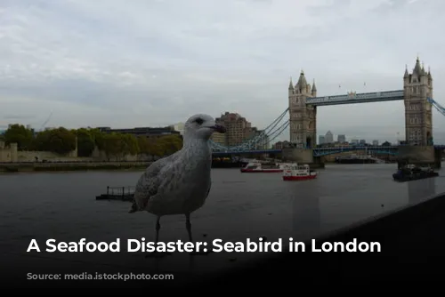 A Seafood Disaster: Seabird in London