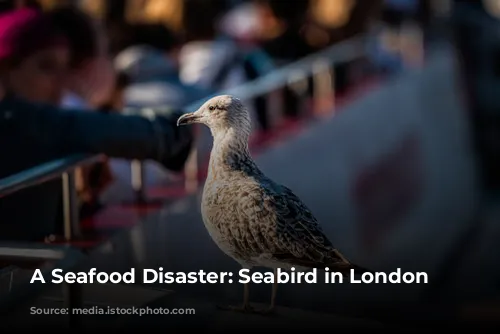 A Seafood Disaster: Seabird in London