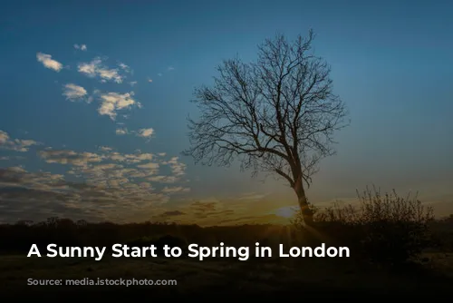 A Sunny Start to Spring in London