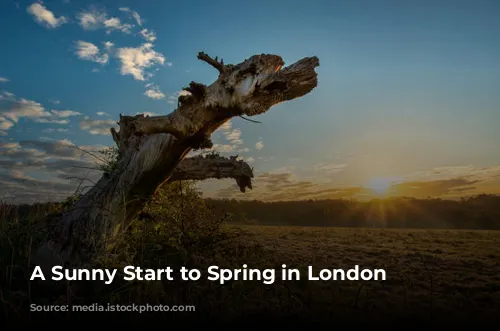 A Sunny Start to Spring in London