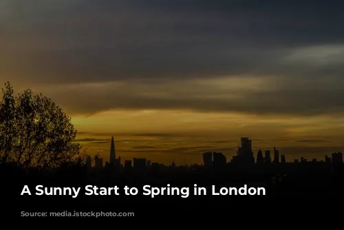 A Sunny Start to Spring in London