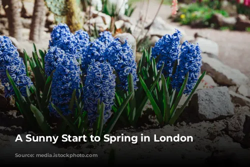 A Sunny Start to Spring in London