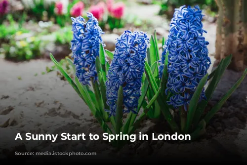 A Sunny Start to Spring in London