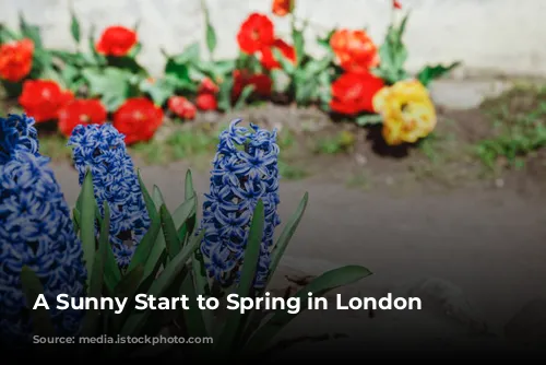 A Sunny Start to Spring in London