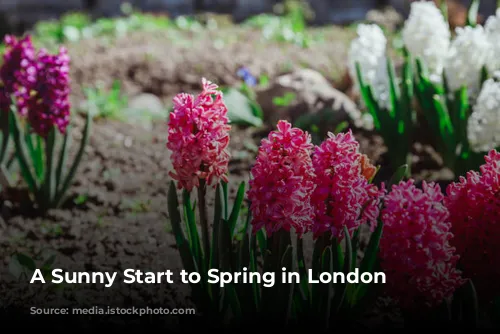 A Sunny Start to Spring in London