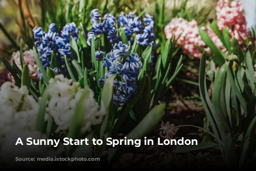 A Sunny Start to Spring in London