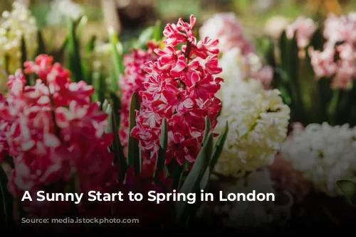 A Sunny Start to Spring in London