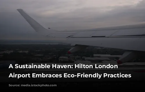 A Sustainable Haven: Hilton London Heathrow Airport Embraces Eco-Friendly Practices