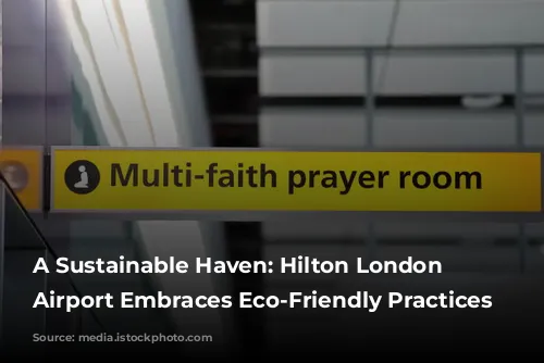 A Sustainable Haven: Hilton London Heathrow Airport Embraces Eco-Friendly Practices