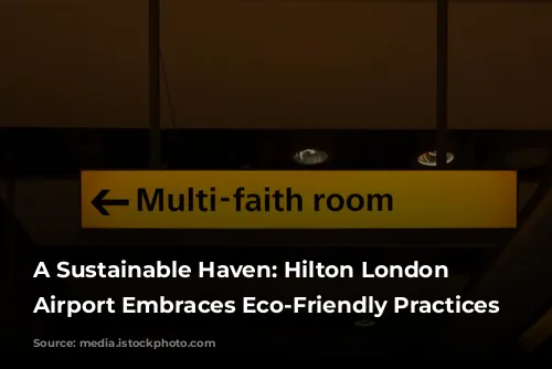 A Sustainable Haven: Hilton London Heathrow Airport Embraces Eco-Friendly Practices