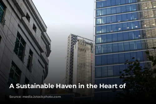 A Sustainable Haven in the Heart of London