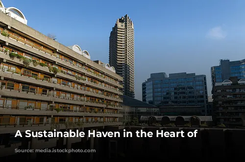 A Sustainable Haven in the Heart of London