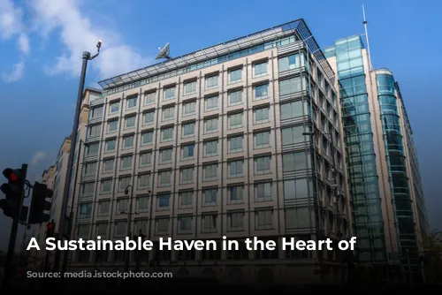 A Sustainable Haven in the Heart of London