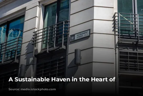 A Sustainable Haven in the Heart of London