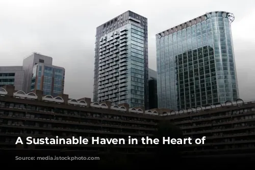 A Sustainable Haven in the Heart of London