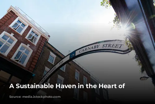 A Sustainable Haven in the Heart of London