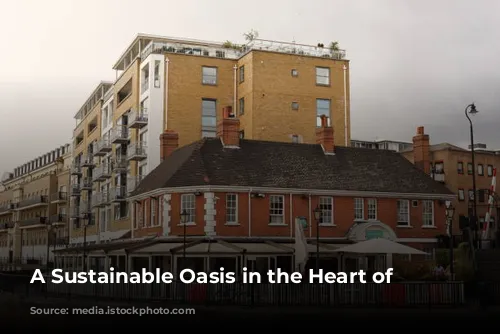 A Sustainable Oasis in the Heart of London