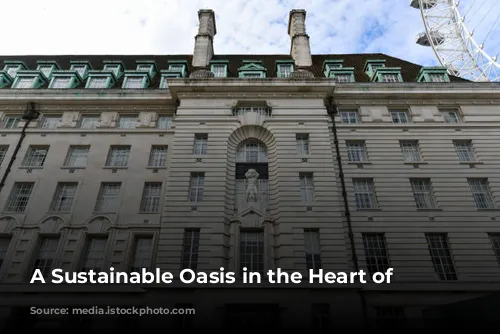 A Sustainable Oasis in the Heart of London