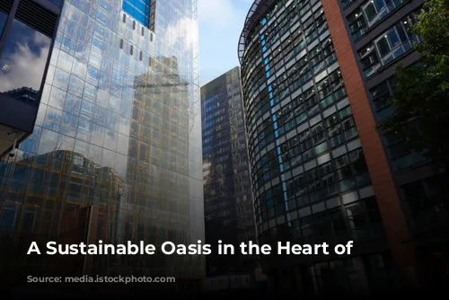 A Sustainable Oasis in the Heart of London