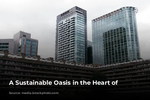 A Sustainable Oasis in the Heart of London